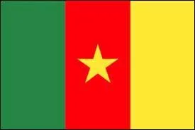 À quel pays appartient ce drapeau ?