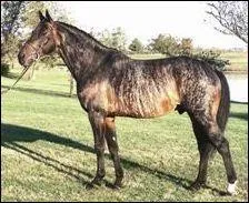 Quelle est cette robe ?