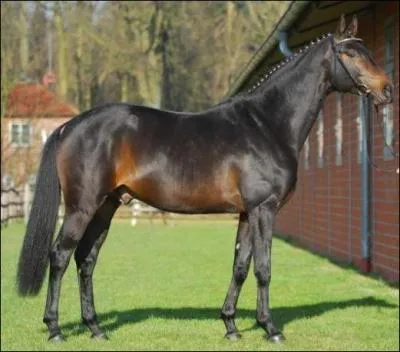 Quelle est cette robe ?