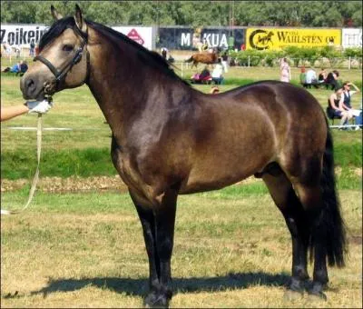 Quelle est cette robe ?