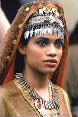 Qui est cette princesse, fille de l'aristocrate Bactrien Oxyartes ? Elle deviendra l'épouse d'Alexandre le Grand.