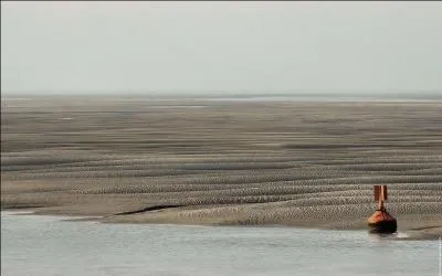 Qui chantait "Quand la mer se retire, il ne me reste rien" ?