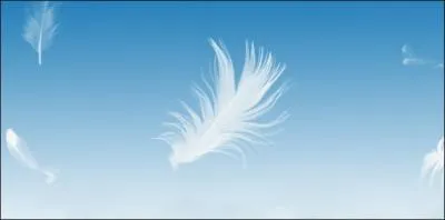 Dans la chanson de Piaf, qu'est-ce qui s'envole sous le ciel de Paris ?