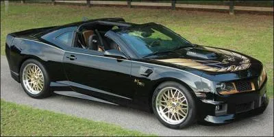 Comment s'appelle la voiture des frères Duke dans "Cours après moi Shériff"?