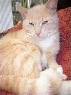 Quel est son nom d'apprenti à la suite de son nouveau baptême ?