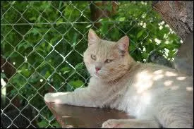 Lors de son baptême de guerrier, quel nom reçoit-il ? Et son frère ?