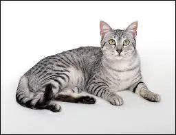 Son père meurt également, comment ?