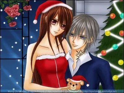 De quel manga viennent ces deux personnages qui fêtent Noël ?