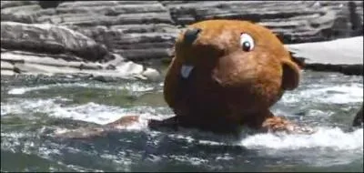 Je suis un animal bâtisseur, grâce à moi Rémi Gaillard a passé la journée dans l'eau !