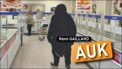 Je suis un oiseau, grand amateur de poisson, je peux être royal ou empereur !