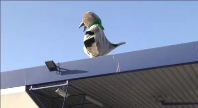 A chaque fois que je regarde ce sketch, je roucoule de joie !