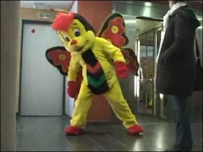 Je commence par un cocon, je finis en butinant !