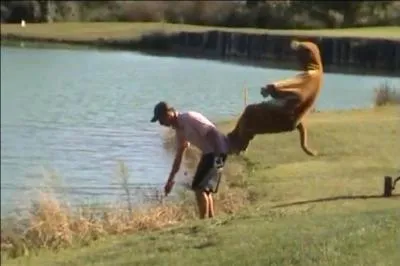 C'est plus fort que moi, il faut que je saute, alors ça donne un sketch bondissant !