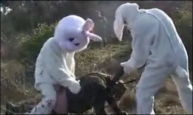 Je vous parie que les chasseurs n'en avaient jamais vu des comme moi !