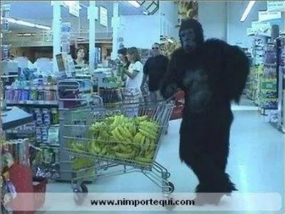 L'avantage avec moi, c'est que je ne fais pas la queue très longtemps !