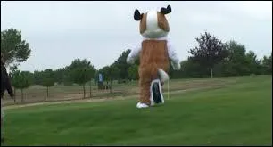 Je suis un animal familier, et j'adore jouer à la baballe !