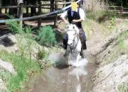 Quiz Galop 2 (nouvelle dition )
