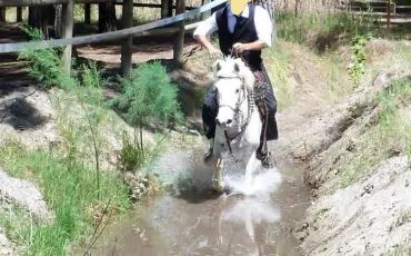 Quiz Galop 2