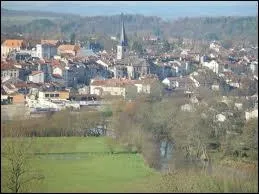 Capitale de la lutherie, Mirecourt est une ville lorraine située dans le département ...