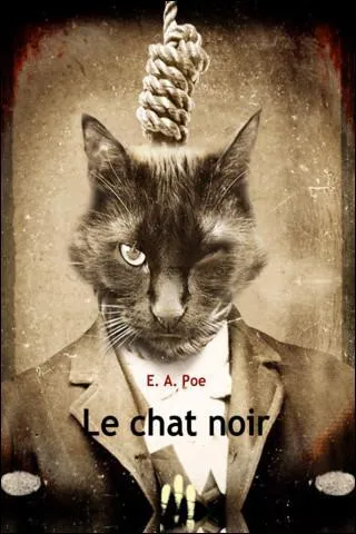 Verlaine a traduit de nombreux contes et nouvelles d'Edgar Poe.