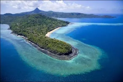 Le Maki ou est un primate lémuriforme.