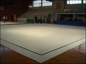 Sur quoi les gymnastes font-elles leurs représentations ?