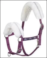 Quelle est la bonne orthographe ?