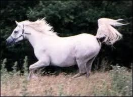 Quelle est cette robe ?