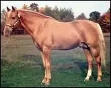 Quelle est cette robe ?