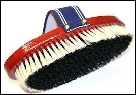Quelle est cette brosse (outil de pansage) ?