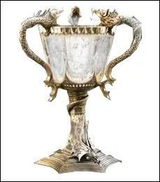 Quelle est cette coupe ?