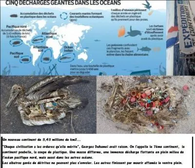 À combien estime-t-on la taille du 7e continent plastique - ces immenses plaques de déchets flottant (+ ou -) sur tous les océans du monde ? Cliquez sur l'image pour en savoir plus.