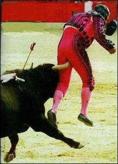 Qui a dit lors d'un débat sur la corrida : « Ce n'est pas faire insulte au fellagha torturé par la "gégène" que de dire que l'on torture le taureau. » ?