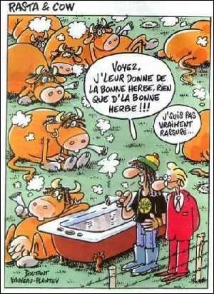 Qui a dit : « C'est à la fin de la foire qu'on compte les bouses. » ? Actualité de décembre 2012.