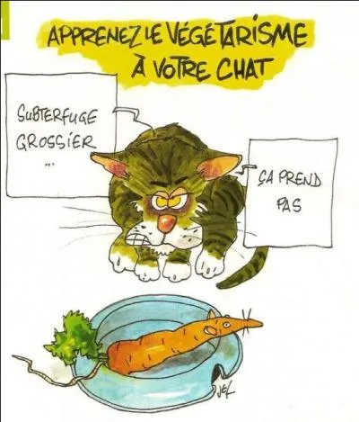 À qui est attribuée cette célèbre phrase : « J'ai très tôt renoncé à la viande et un jour viendra où les hommes tels que moi proscriront le meurtre des animaux comme ils proscrivent aujourd'hui le meurtre de leurs semblables. » ?