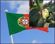 Le ------- est l'emblème du ------.