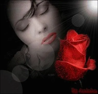 Durant la Guerre des deux roses entre 1453 et 1485, que symbolisait la rose rouge ?