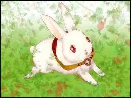 Que dit-elle toujours à Alice?