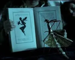 Qui guide Ofelia dans le labyrinthe ?