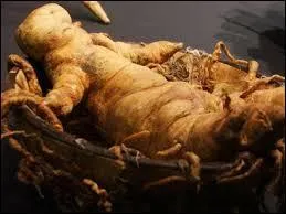 Que met Ofelia sous le lit de sa mère pour que celle-ci retrouve des forces ?