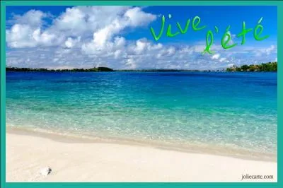 Que signifie "Natsu" en japonais ?