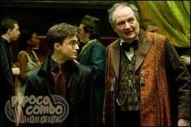 Lors de la fête de Noël de Slughorn, que mange McLaggen ?