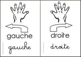Quelle(s) patte(s) doit lever le chat japonais porte-bonheur pour apporter la fortune et la chance ?
