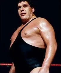 A ce jour, André The Giant fut le seul catcheur français à avoir effectué une grande carrière à la WWE. Après son décès, il fut la première légende de l'histoire à être intronisée dans le "Hall of Fame" de la fédération. En quelle année ?