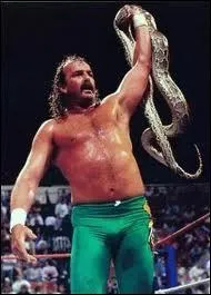 On crédite à Jake "The Snake" Roberts l'invention d'une des prises les plus célèbres et destructrices du catch. De quelle prise s'agit-il ?