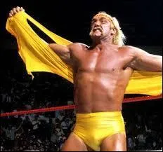 En quelle année Hulk Hogan a-t-il remporté son premier titre de champion de la WWE après avoir battu The Iron Sheik au Madison Square Garden ?