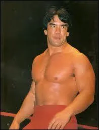 Quel est le seul titre que Ricky "The Dragon" Steamboat a remporté à la WWE ?