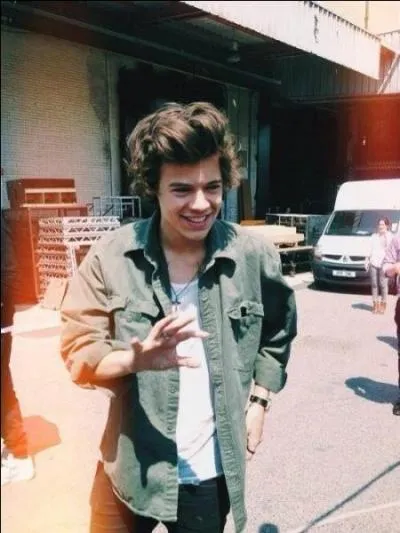 Quel fruit Harry aime-t-il ?