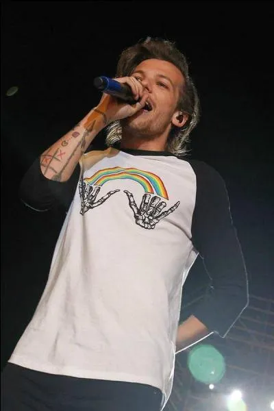 Quel super-héros Louis aime-t-il ?