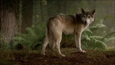 Qui est ce personnage ?